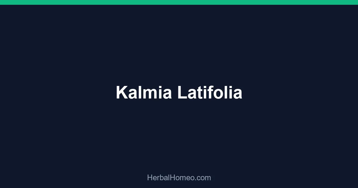Kalmia Latifolia