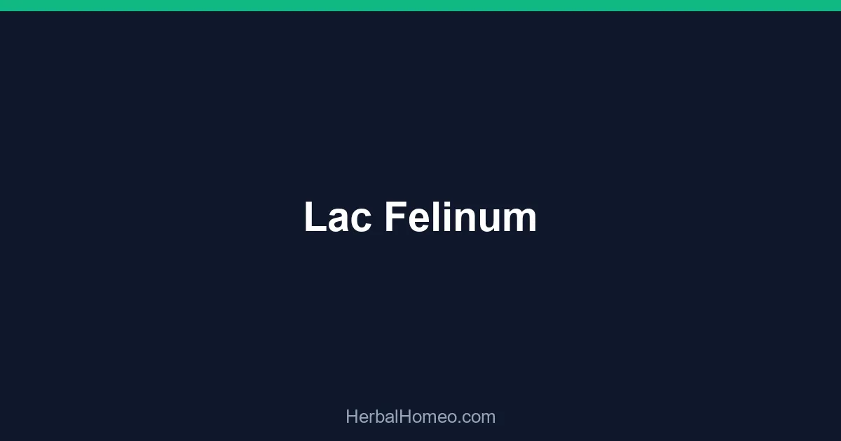 Lac Felinum