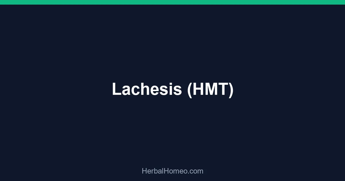 Lachesis (HMT)