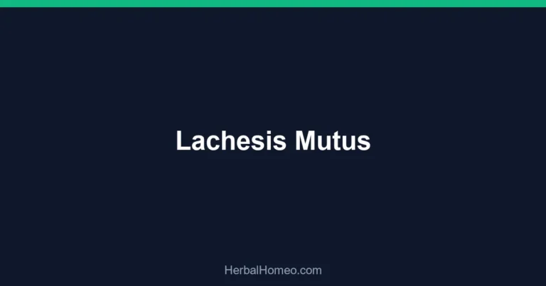 Lachesis Mutus