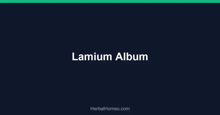 Lamium Album
