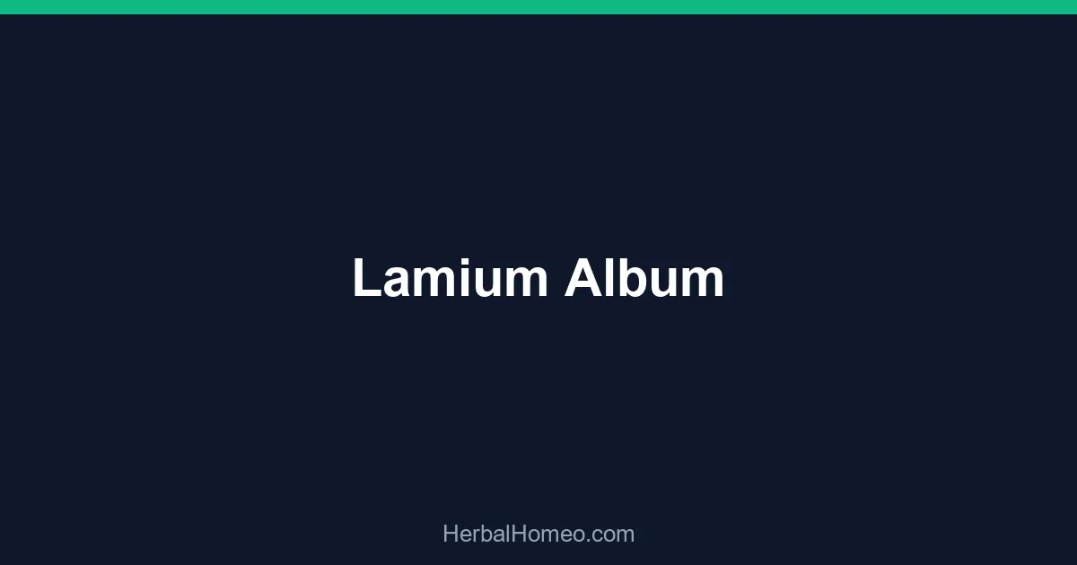 Lamium Album
