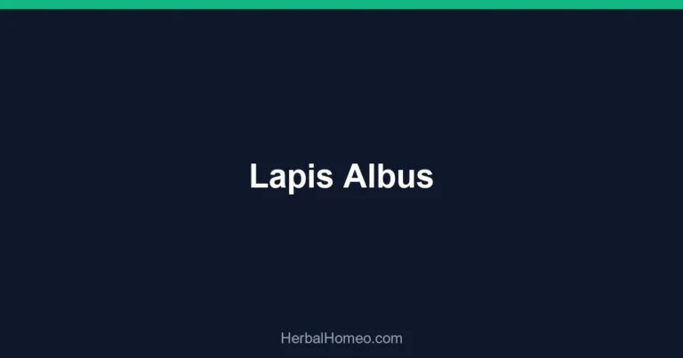 Lapis Albus