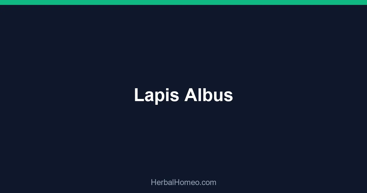 Lapis Albus