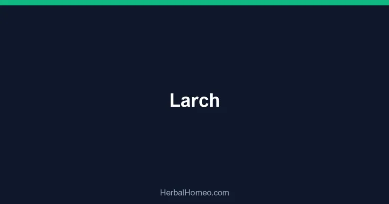 Larch