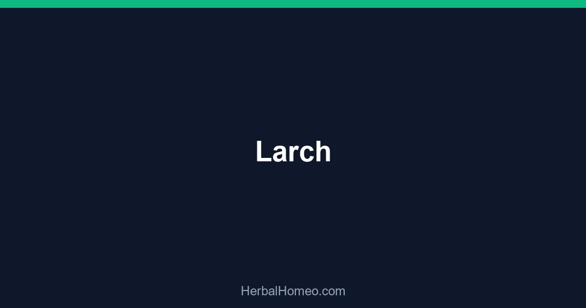 Larch