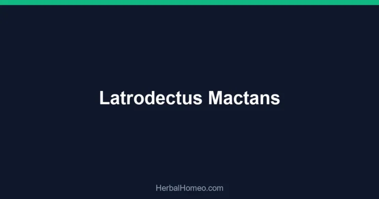 Latrodectus Mactans