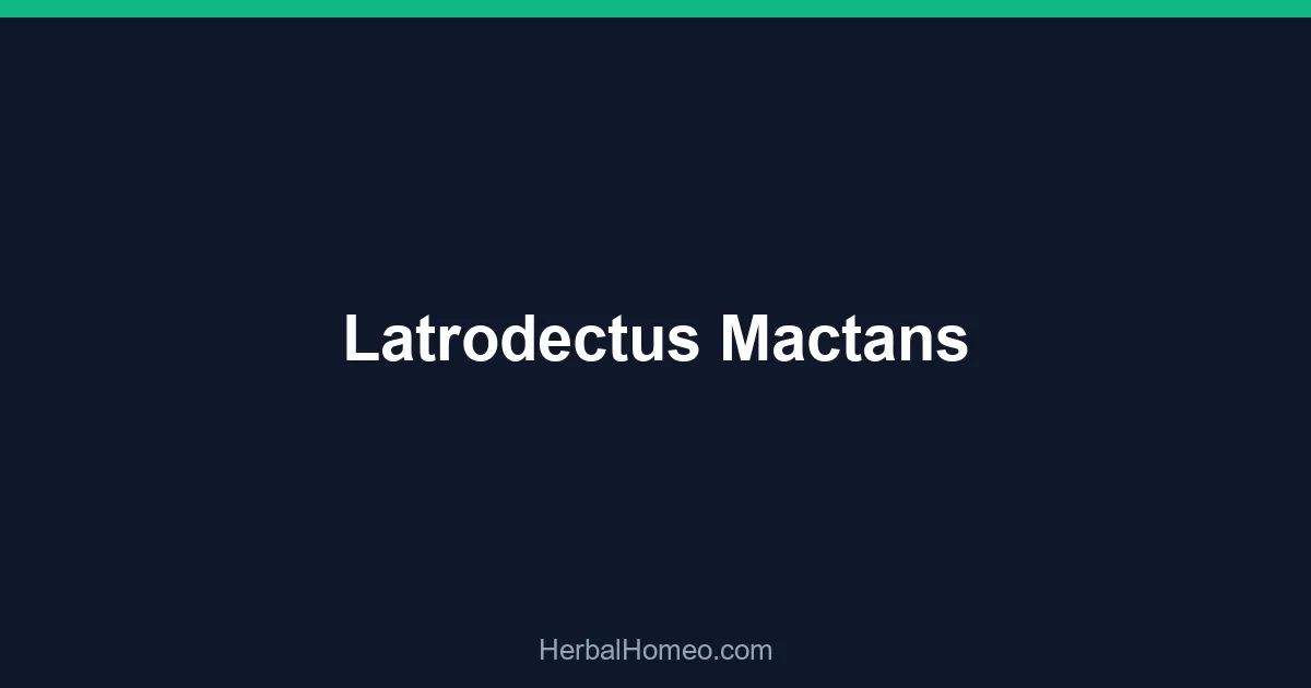 Latrodectus Mactans