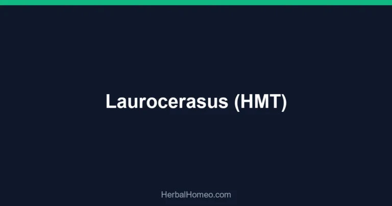 Laurocerasus (HMT)