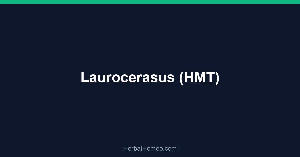 Laurocerasus (HMT)