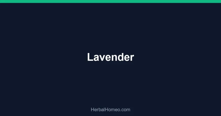 Lavender