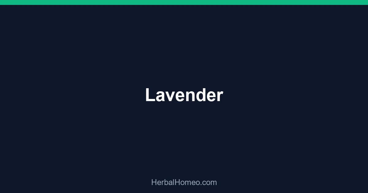 Lavender