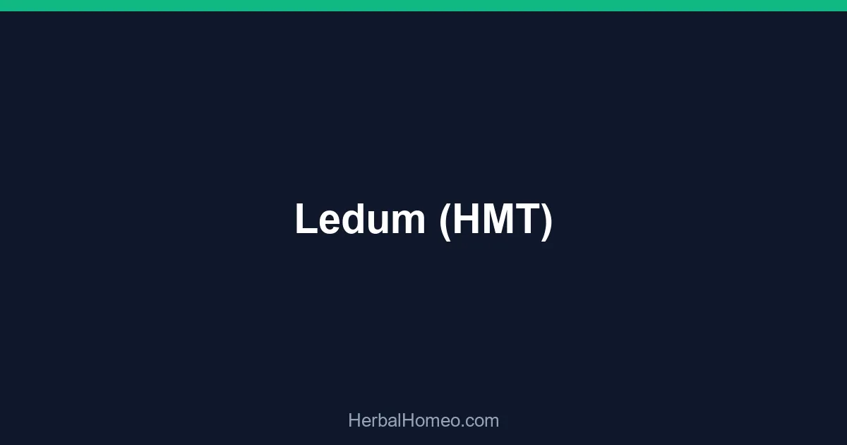 Ledum (HMT)