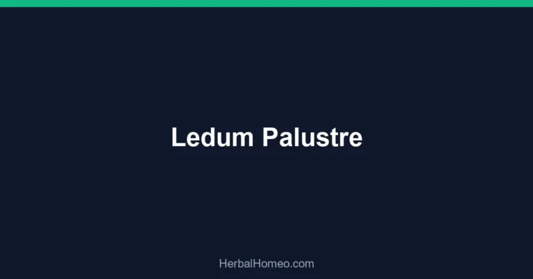 Ledum Palustre