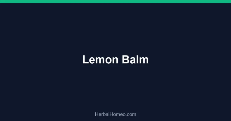 Lemon Balm