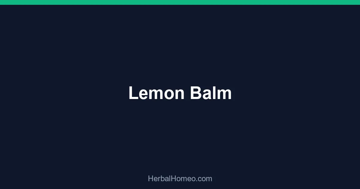 Lemon Balm