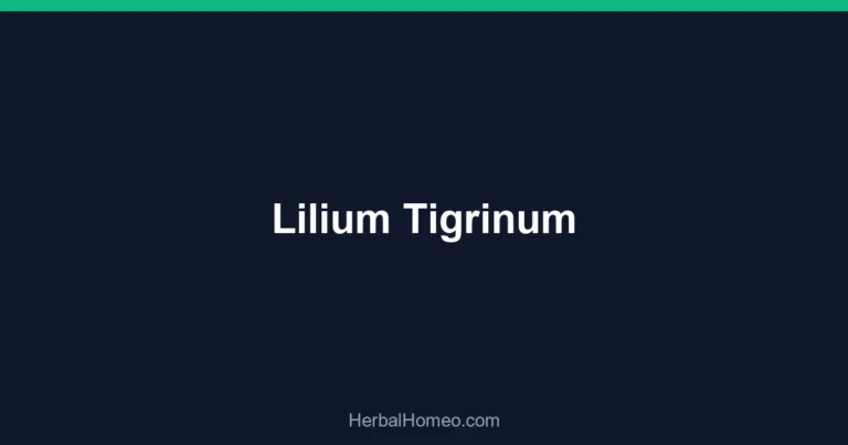 Lilium Tigrinum