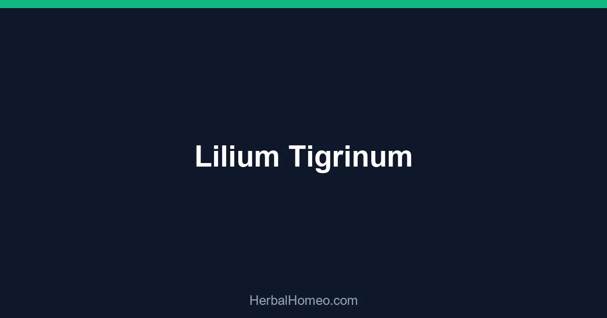 Lilium Tigrinum