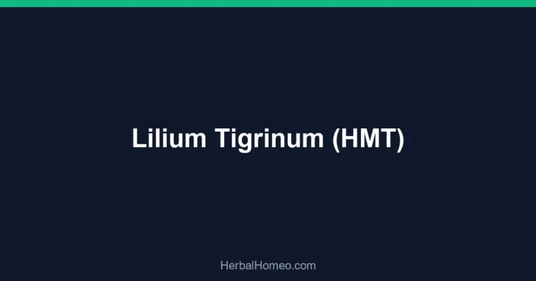 Lilium Tigrinum (HMT)