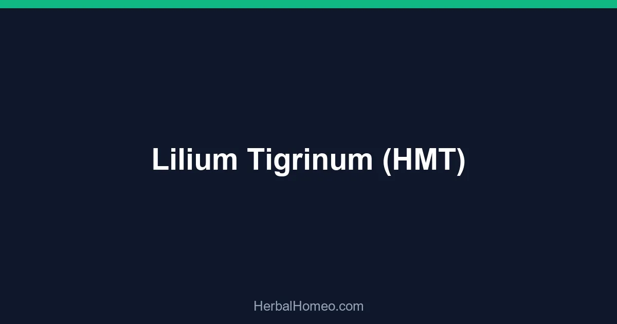 Lilium Tigrinum (HMT)