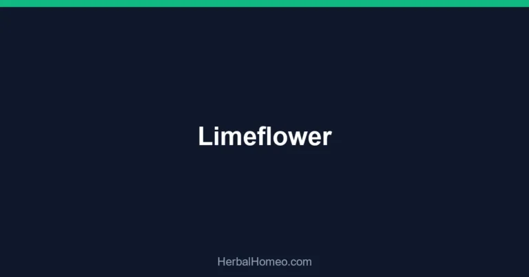 Limeflower