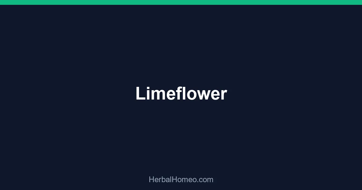 Limeflower