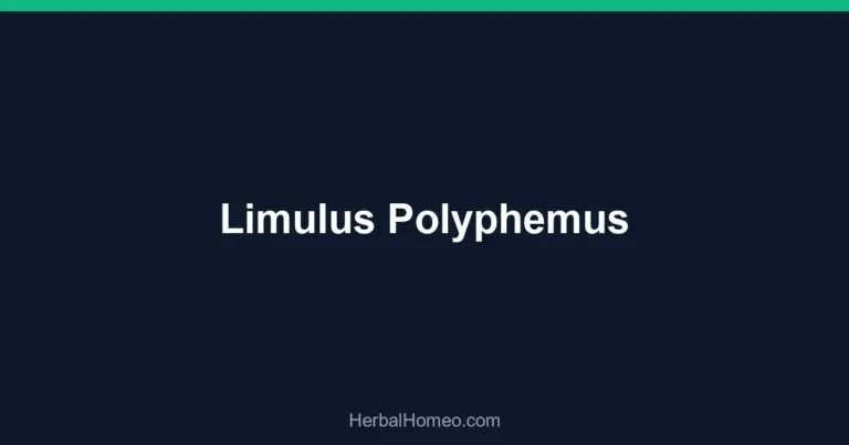 Limulus Polyphemus