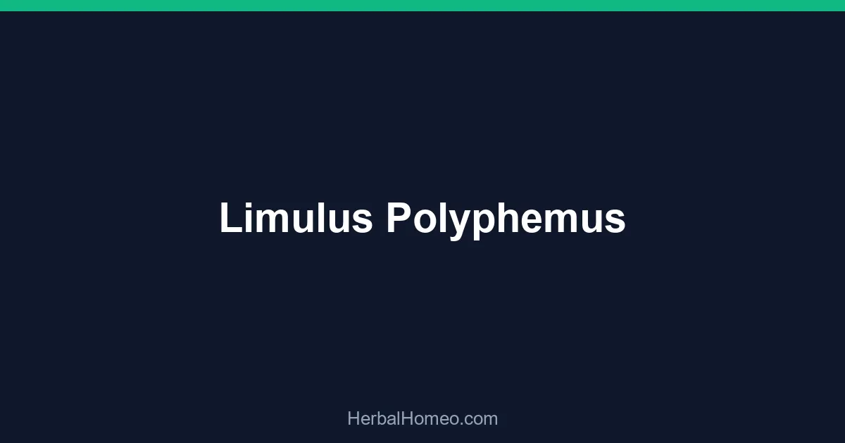 Limulus Polyphemus