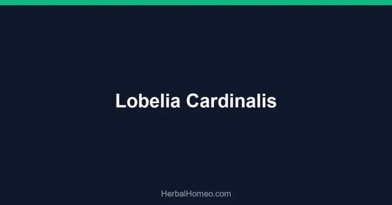 Lobelia Cardinalis