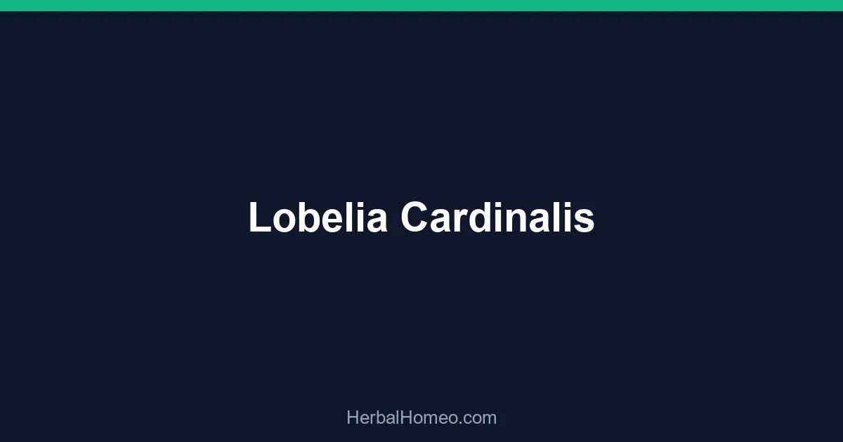 Lobelia Cardinalis