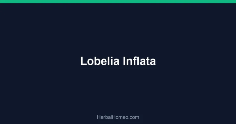 Lobelia Inflata