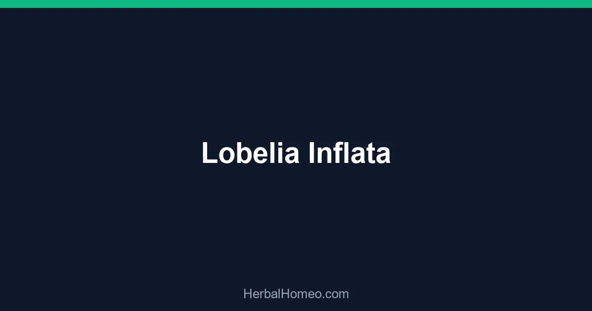 Lobelia Inflata