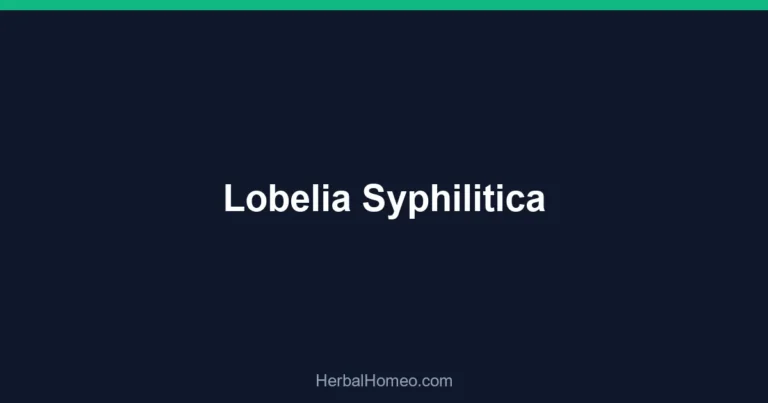 Lobelia Syphilitica