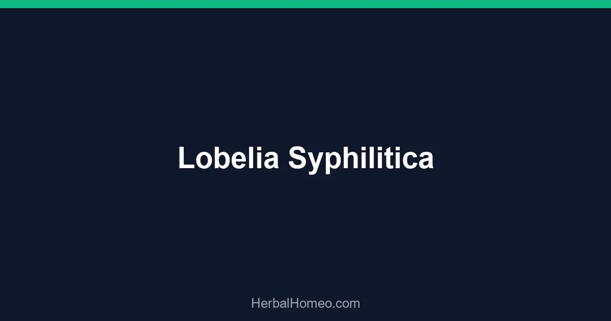 Lobelia Syphilitica