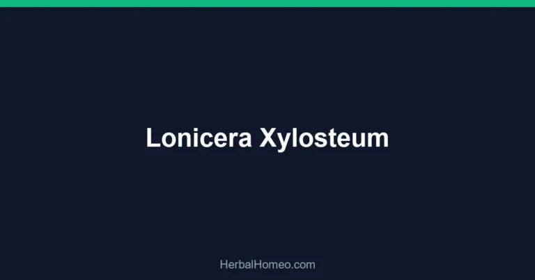 Lonicera Xylosteum