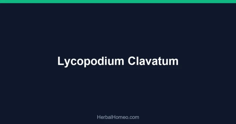 Lycopodium Clavatum