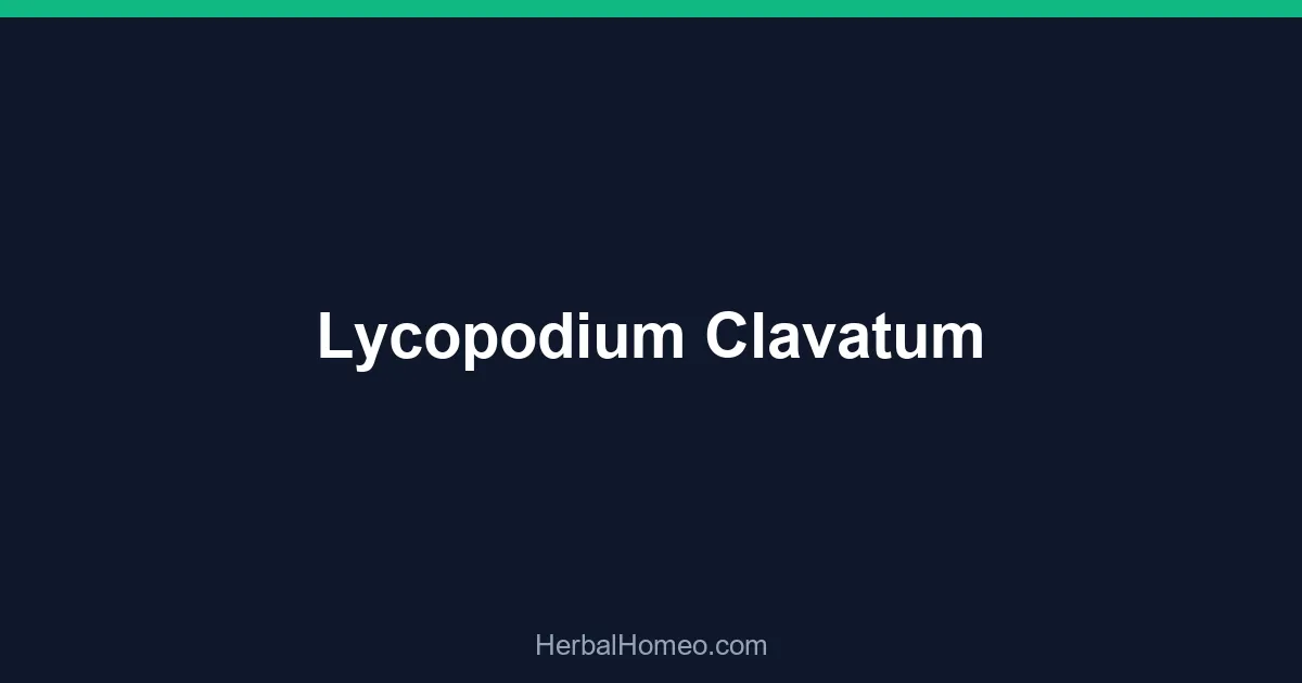 Lycopodium Clavatum