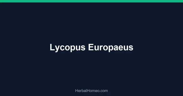 Lycopus Europaeus