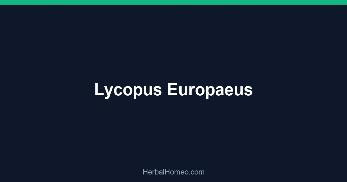 Lycopus Europaeus