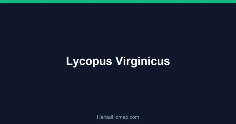 Lycopus Virginicus