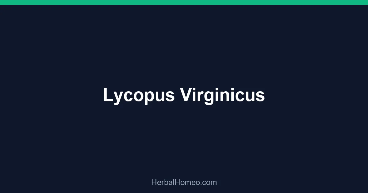 Lycopus Virginicus