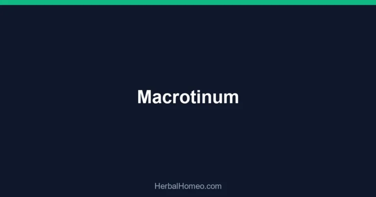 Macrotinum