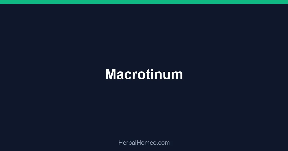 Macrotinum