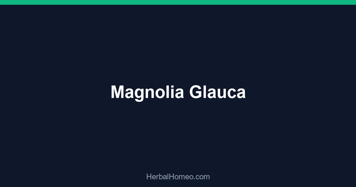 Magnolia Glauca