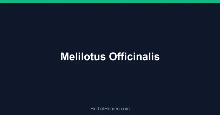 Melilotus Officinalis