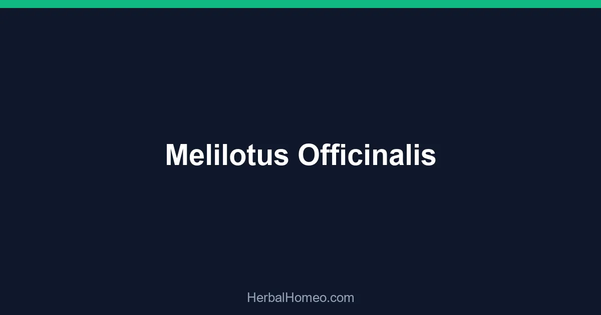 Melilotus Officinalis
