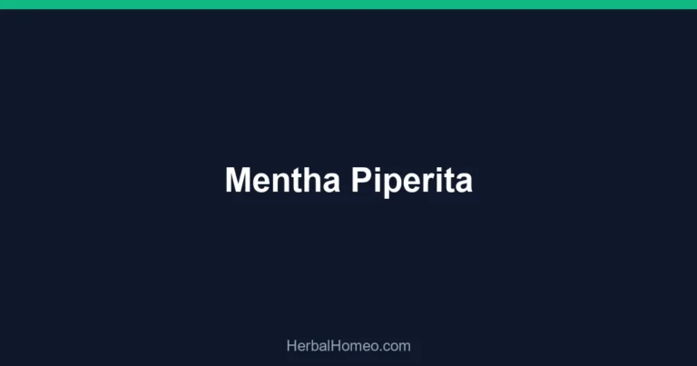 Mentha Piperita