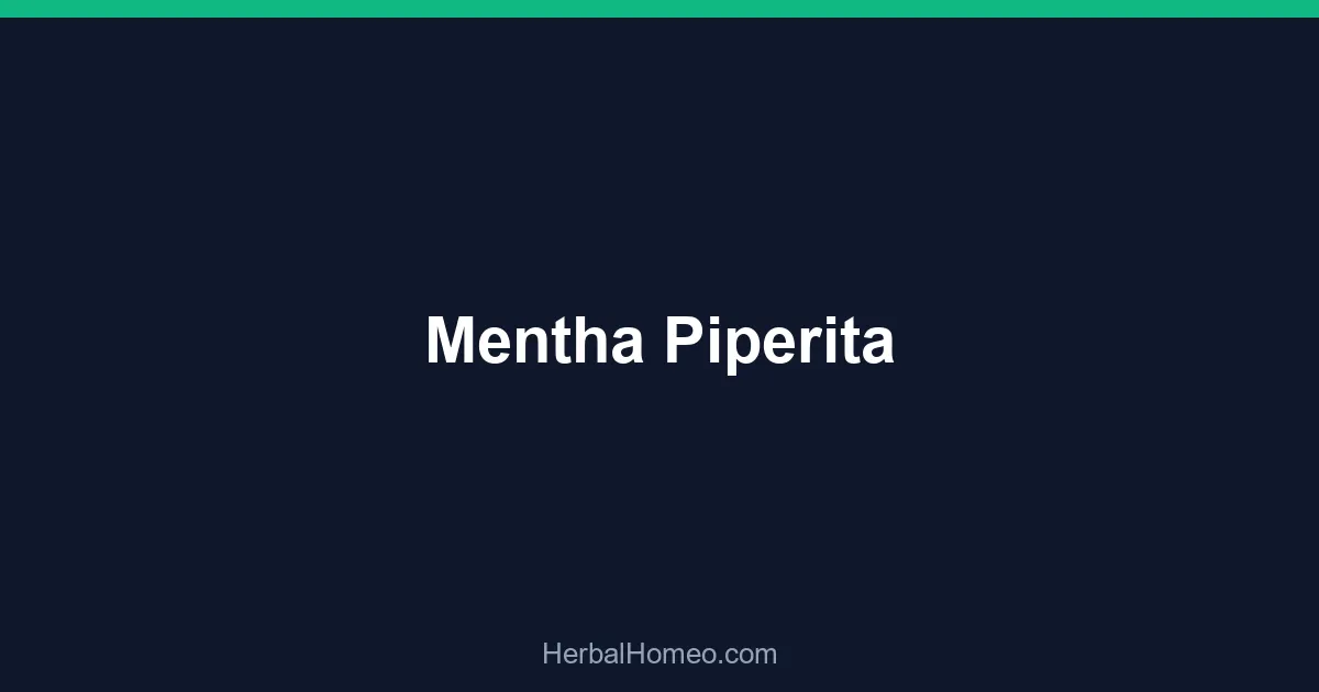 Mentha Piperita