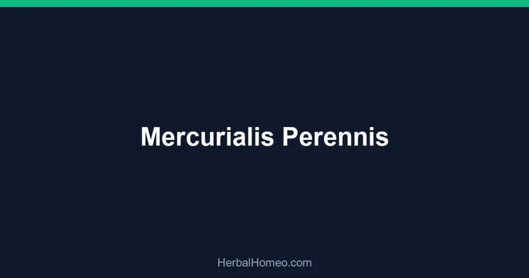 Mercurialis Perennis