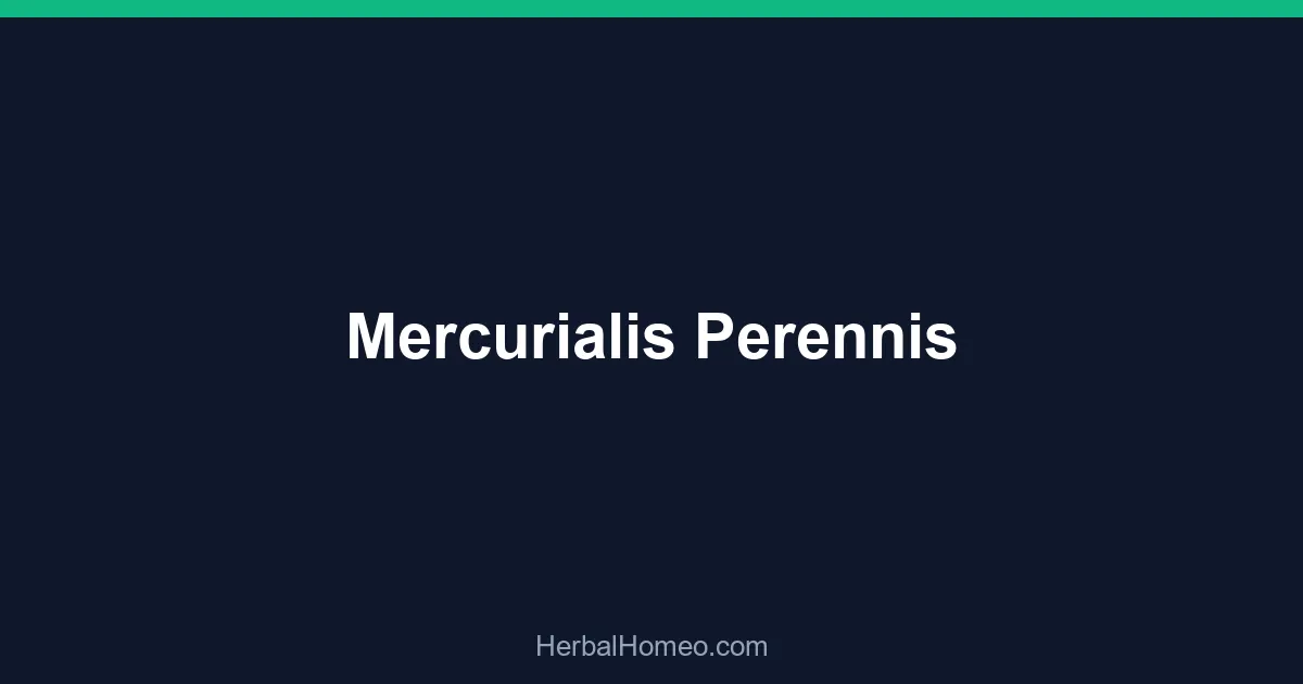 Mercurialis Perennis